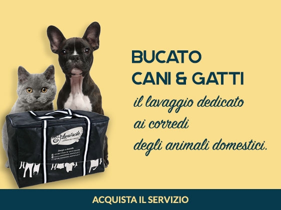 Lavanderie LavaFacile -  La prima lavanderia self service a Rimini con servizio PET.